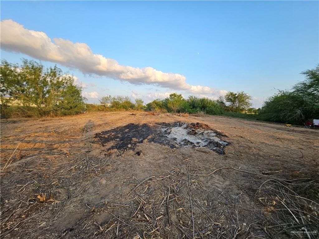 3.53 acres in Hidalgo County gallery image 3