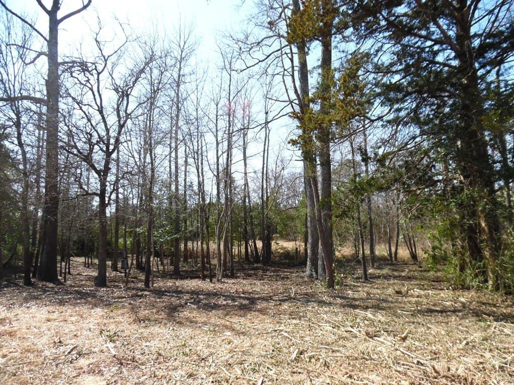 0.34 acres in Van Zandt County gallery image 2
