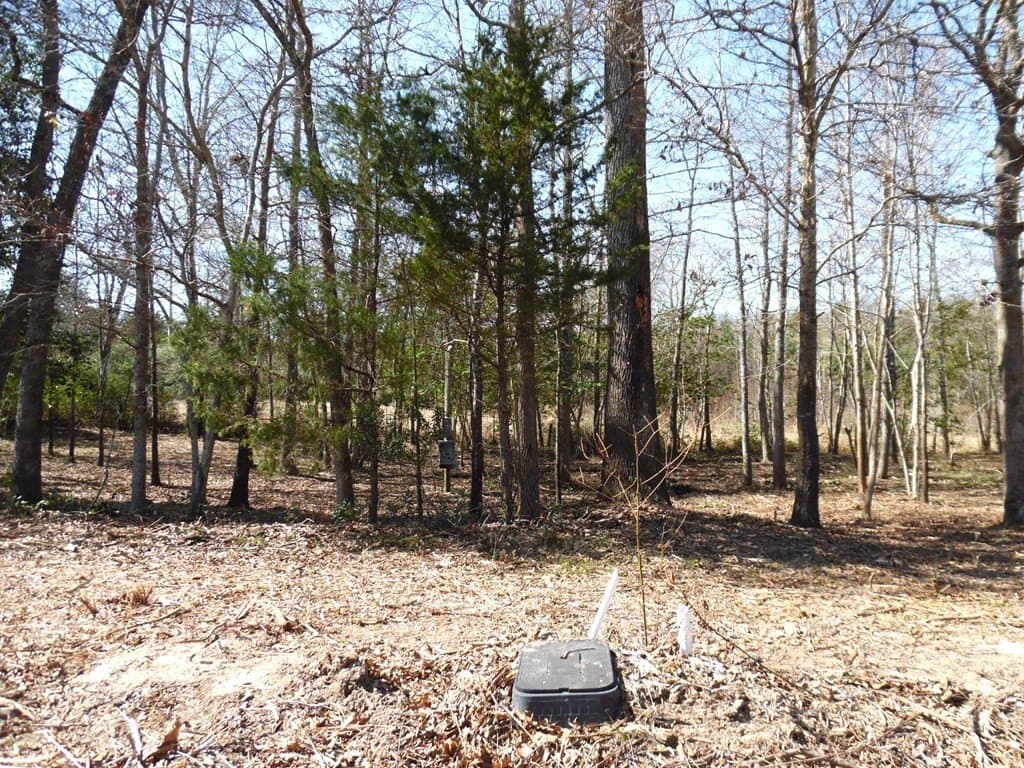 0.34 acres in Van Zandt County - photo 8