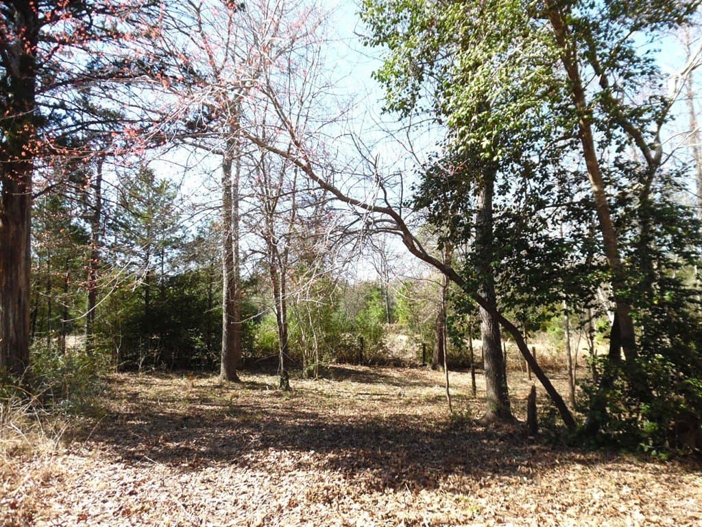 0.34 acres in Van Zandt County - photo 10