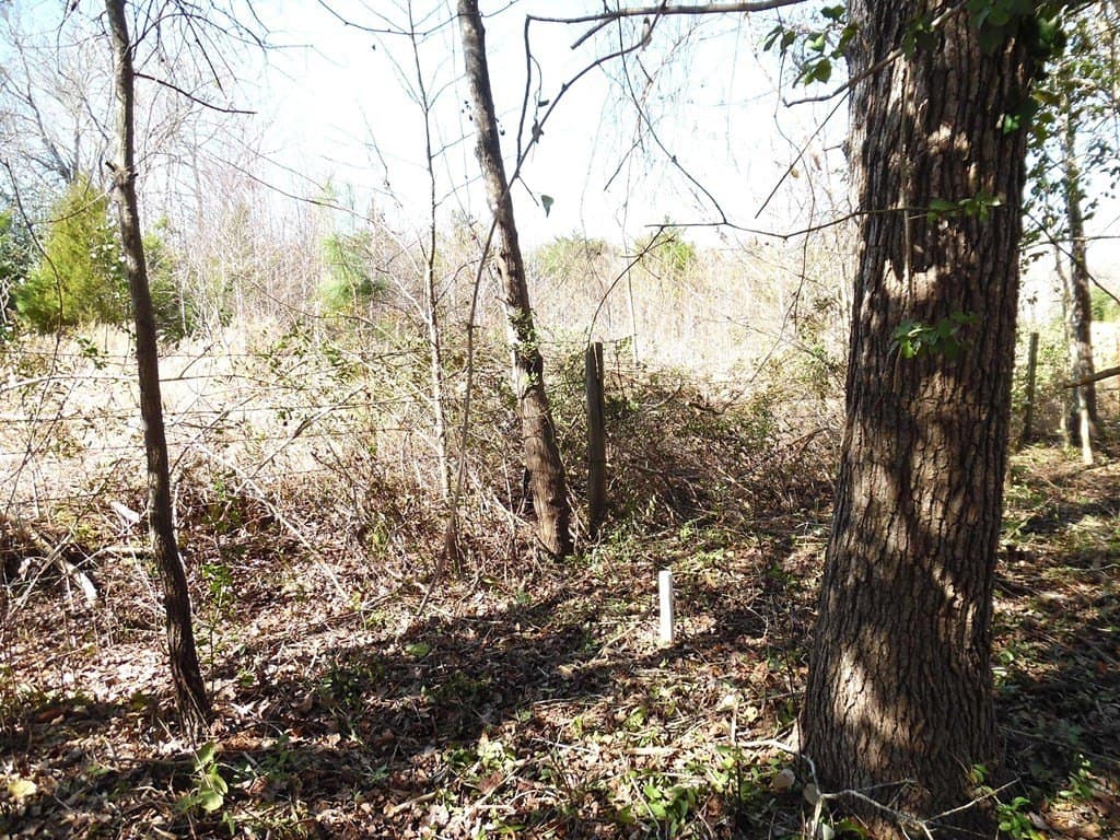 0.34 acres in Van Zandt County featured view
