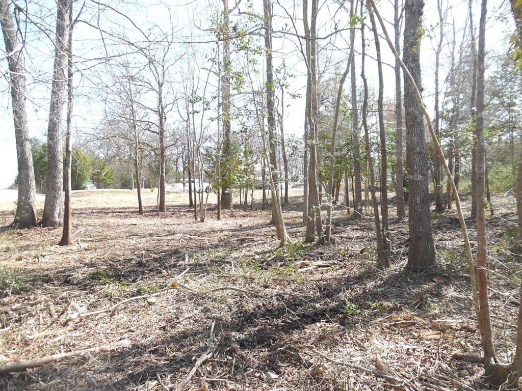 0.34 acres in Van Zandt County gallery image 3