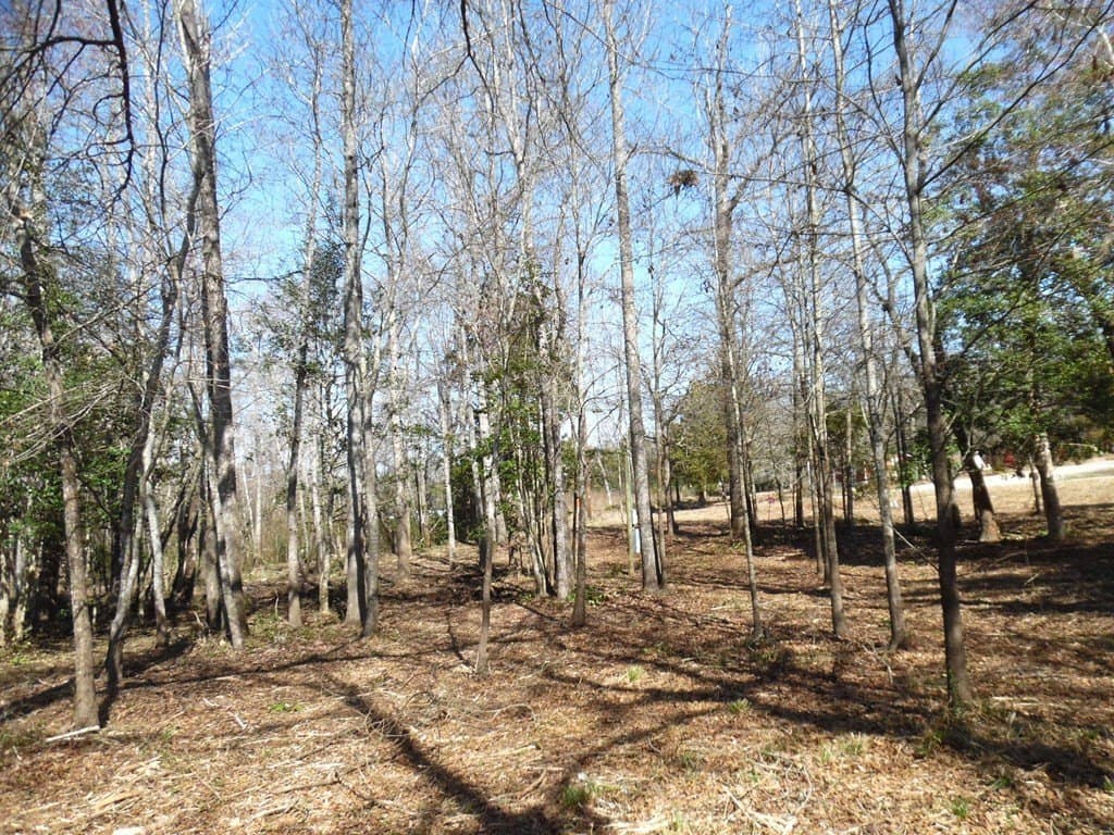 0.34 acres in Van Zandt County gallery image 4