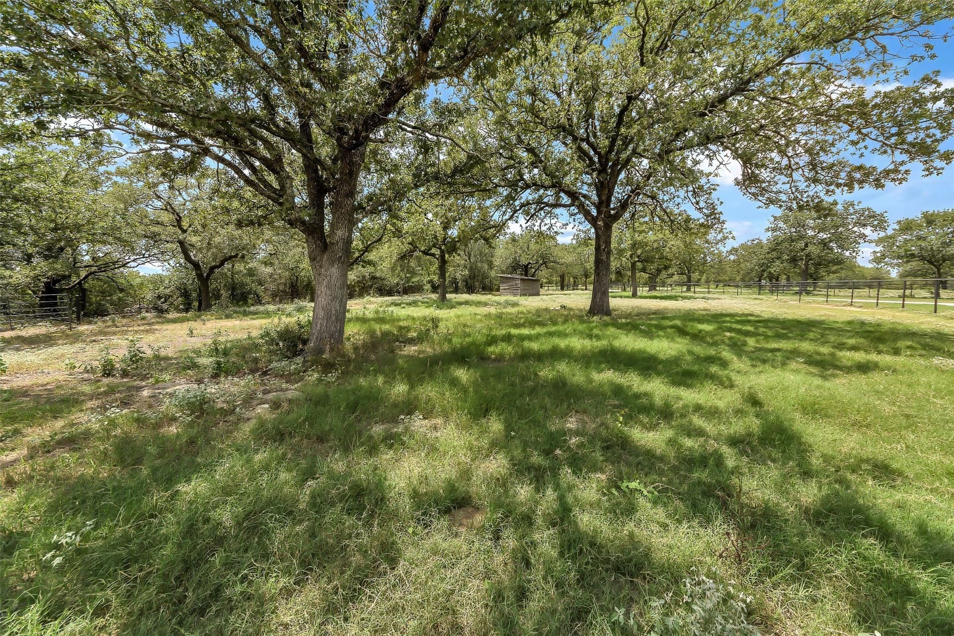 29.32 acres in Palo Pinto County - photo 22