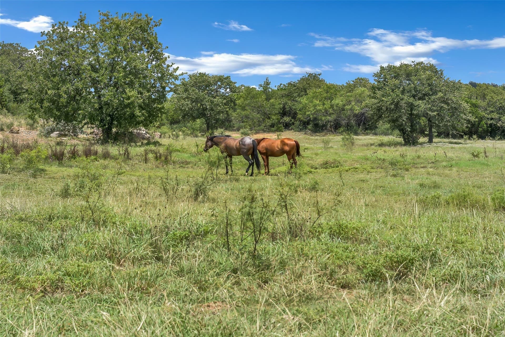 29.32 acres in Palo Pinto County - photo 37
