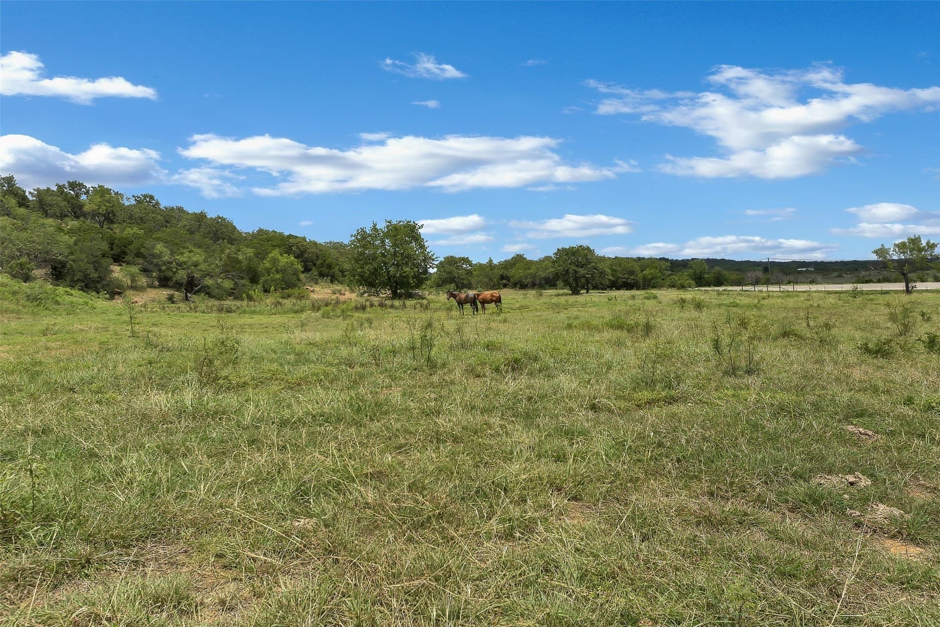 29.32 acres in Palo Pinto County - photo 33
