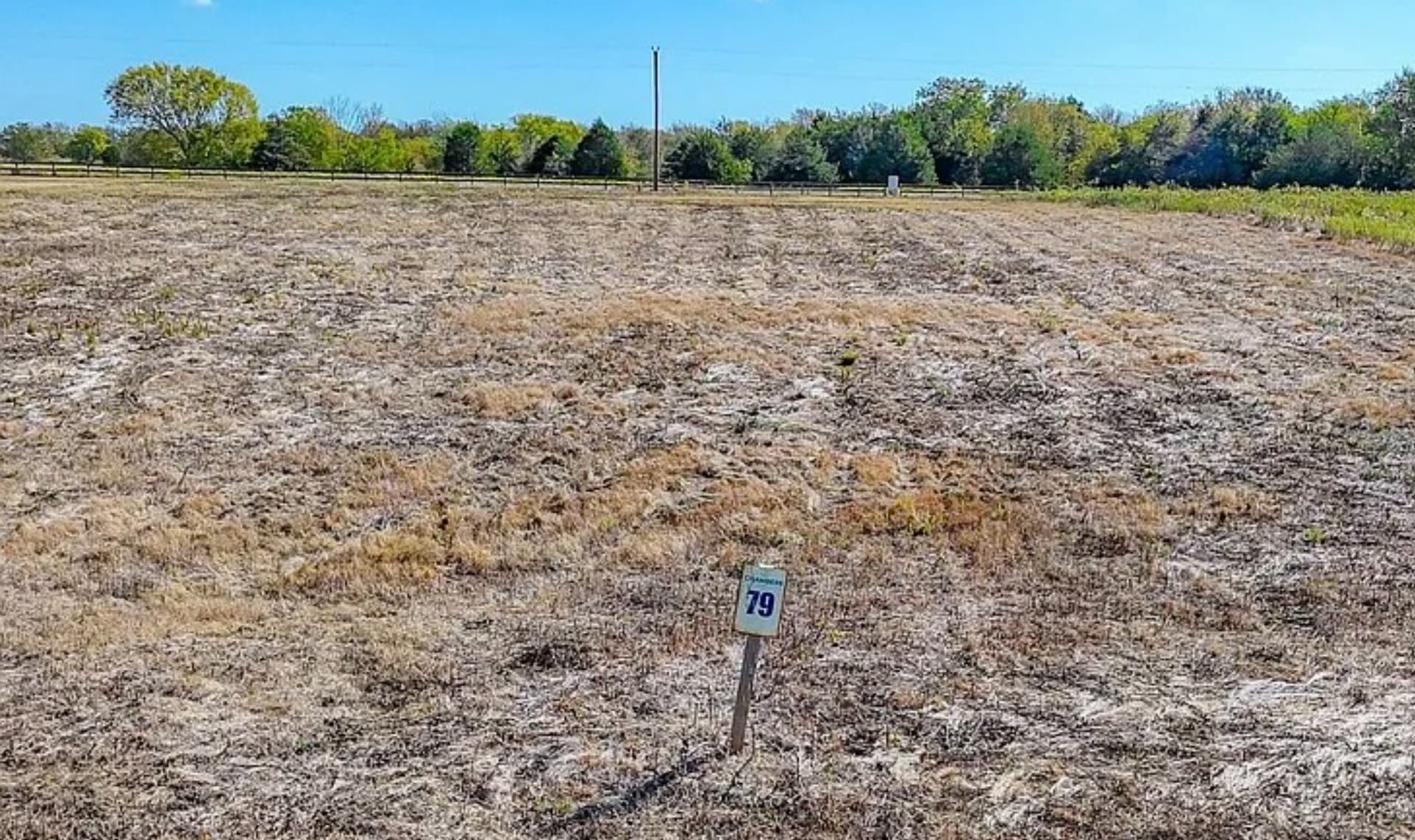 1.47 acres in Navarro County gallery image 2