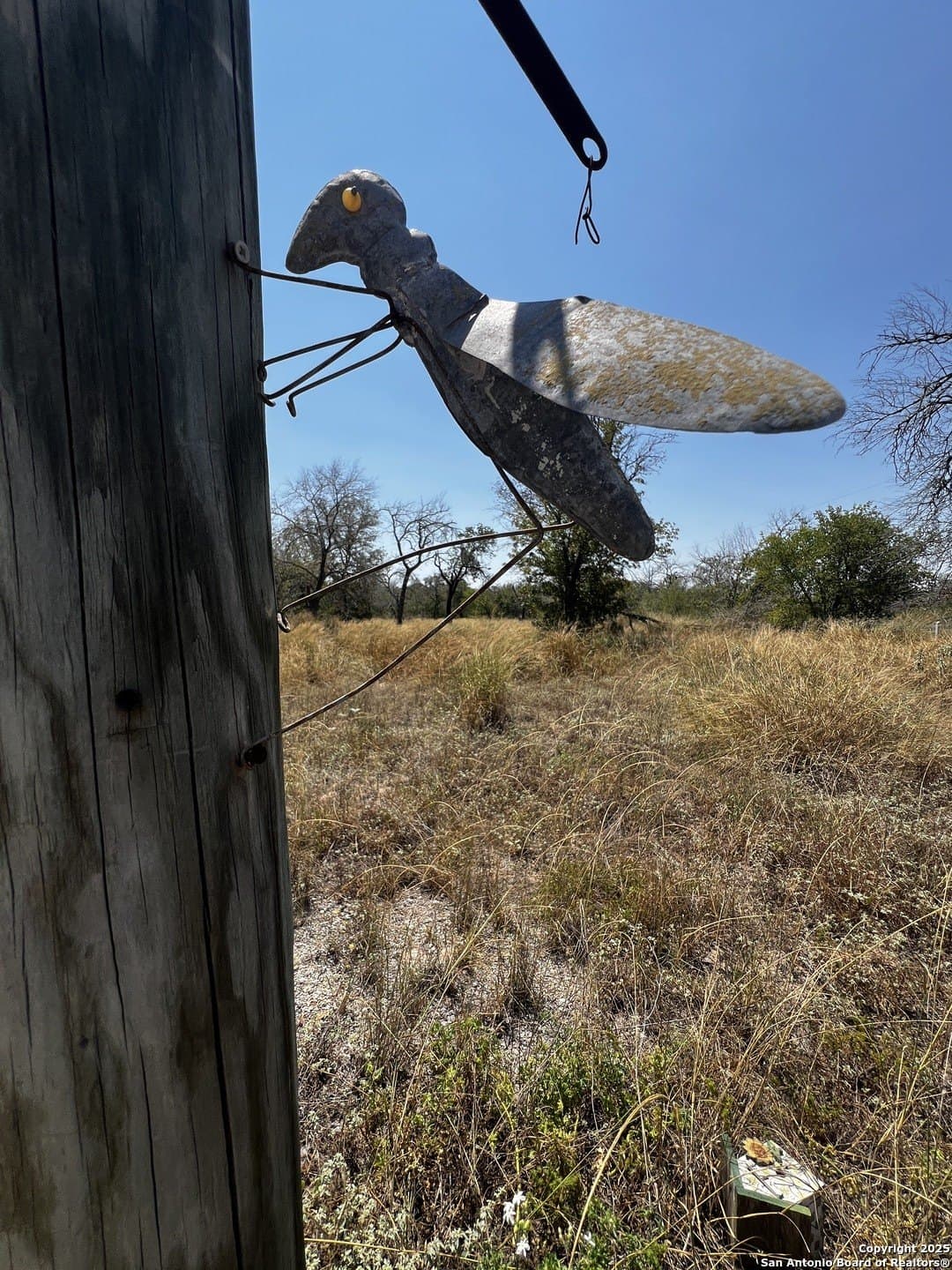 5.24 acres in Atascosa County - photo 7