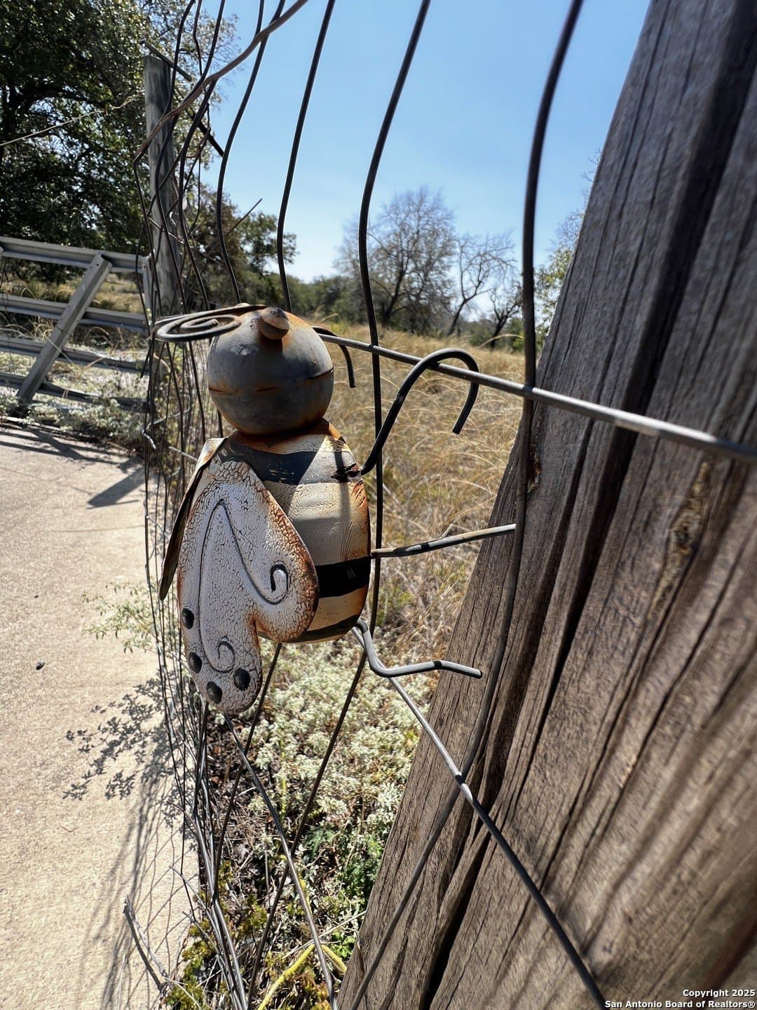 5.24 acres in Atascosa County featured view