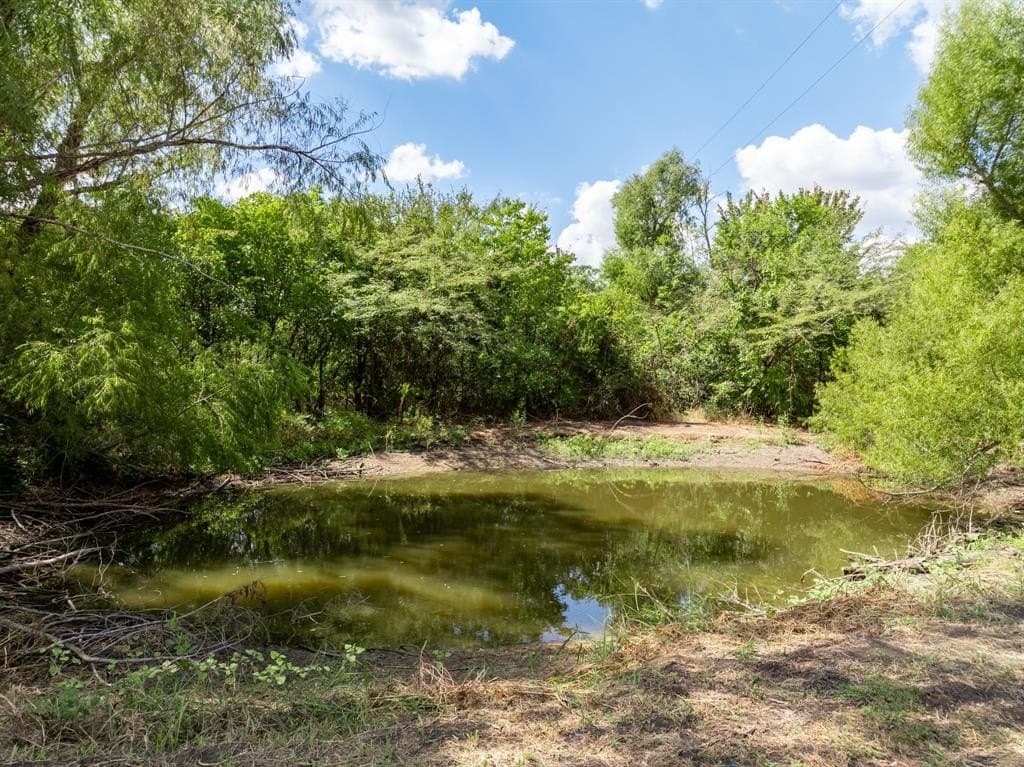 2.19 acres in McLennan County gallery image 4