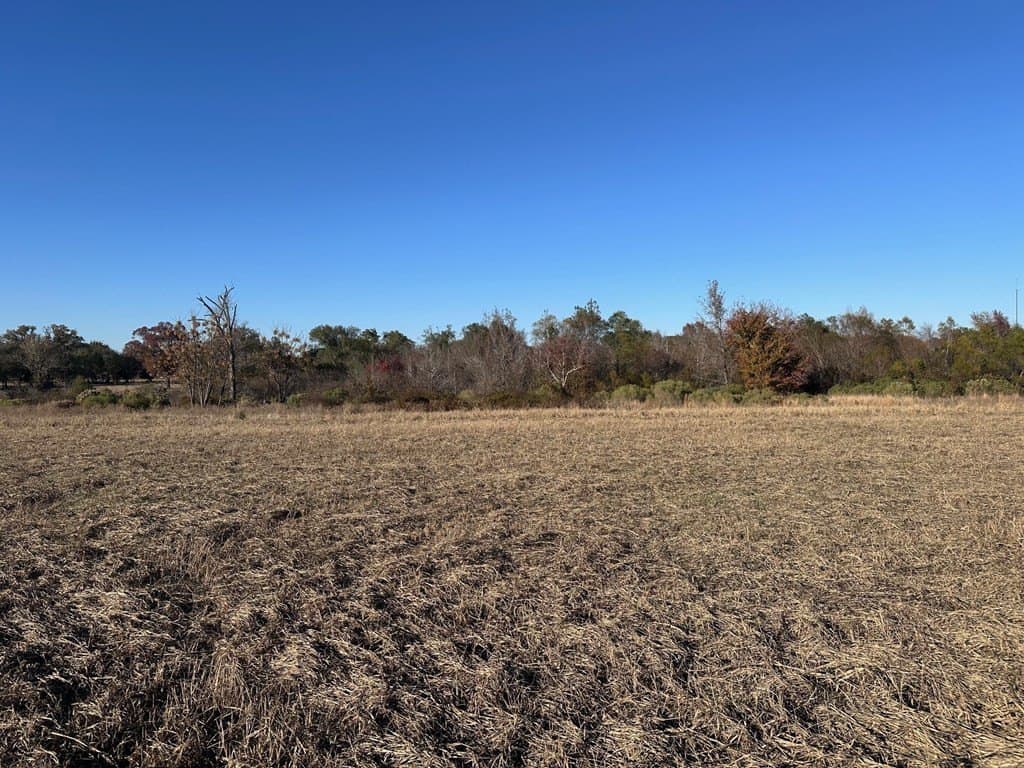 6 acres in Henderson County - photo 3