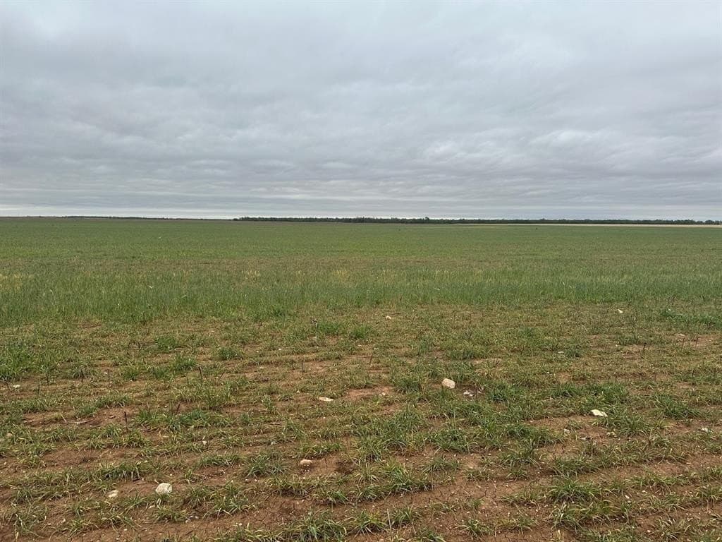 13.4 acres in Jones County featured view