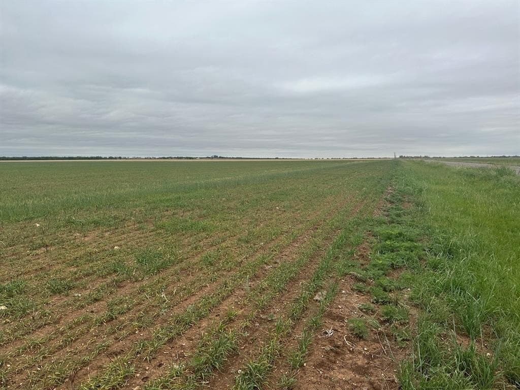 13.4 acres in Jones County gallery image 2