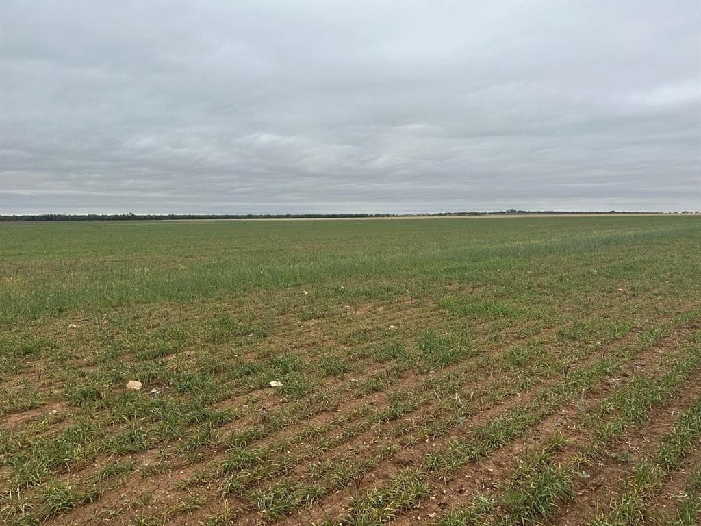 13.4 acres in Jones County gallery image 4