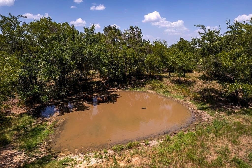15 acres in Erath County - photo 19