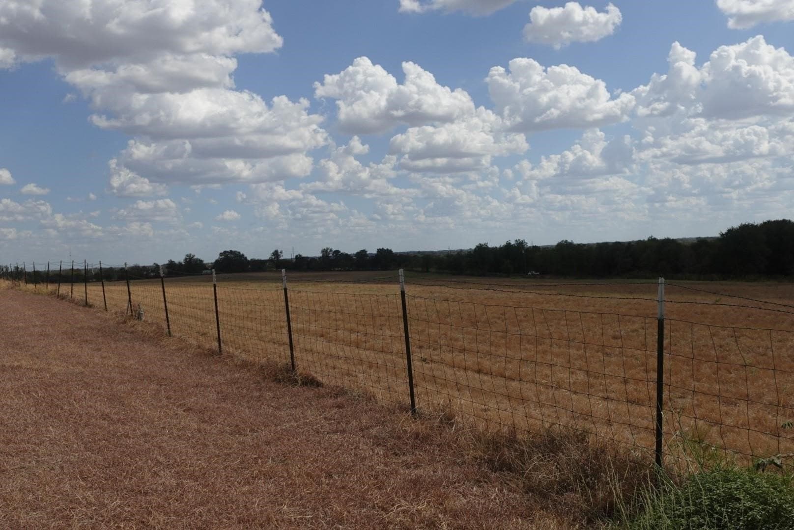 15 acres in Erath County - photo 17