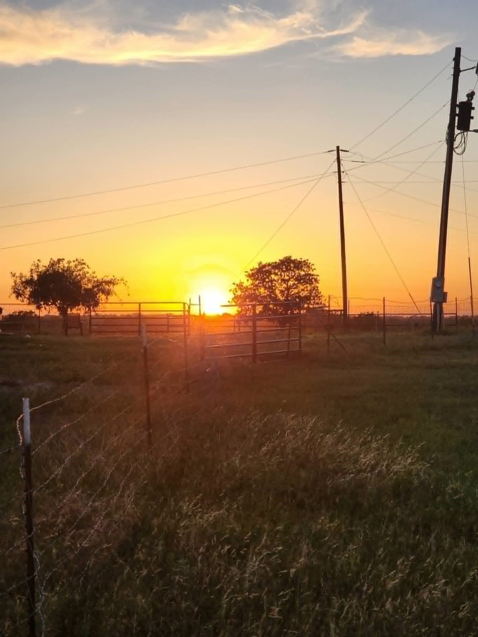 15 acres in Erath County - photo 22