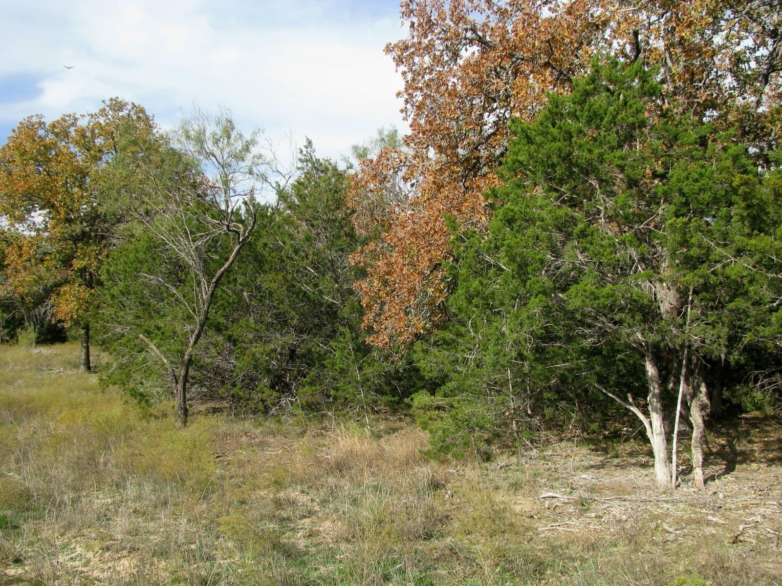 10.01 acres in Hamilton County gallery image 2