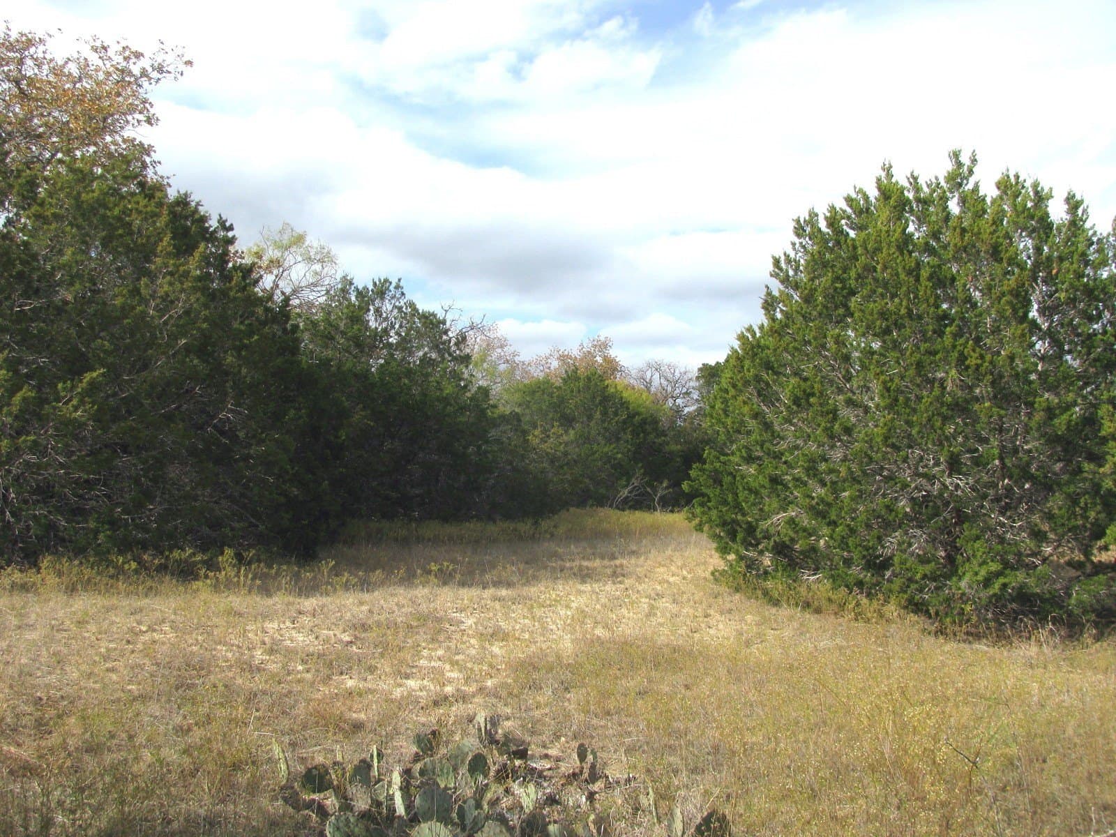 10.01 acres in Hamilton County - photo 20