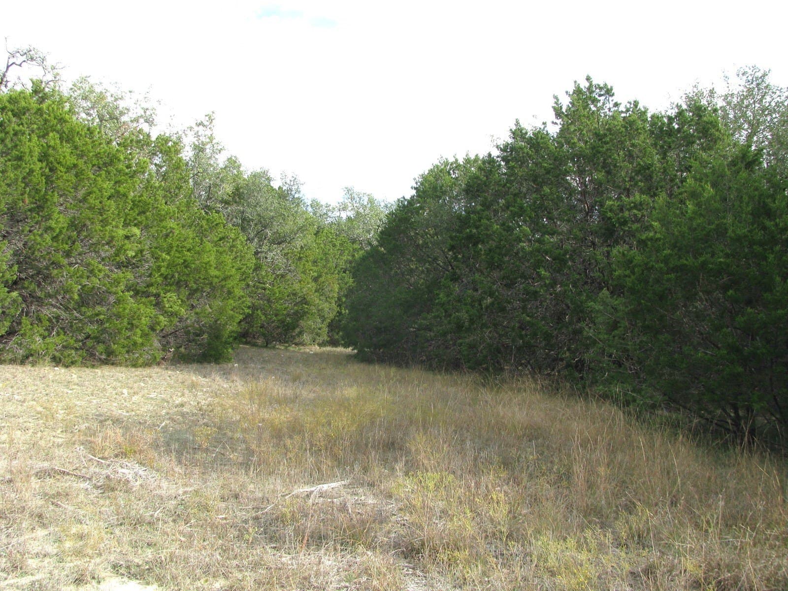 10.01 acres in Hamilton County - photo 14