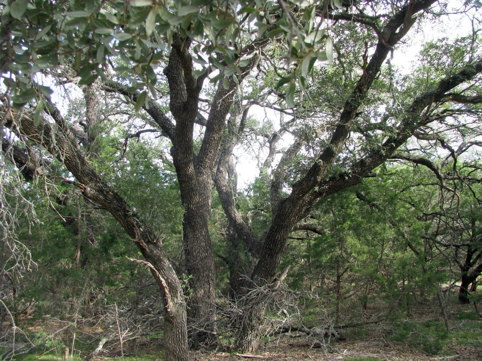 10.01 acres in Hamilton County - photo 11