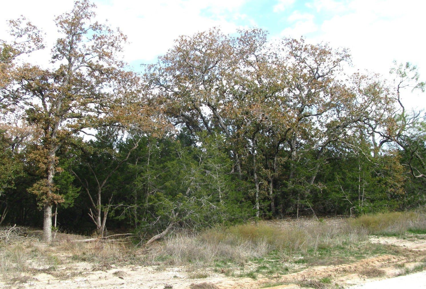 10.01 acres in Hamilton County - photo 22