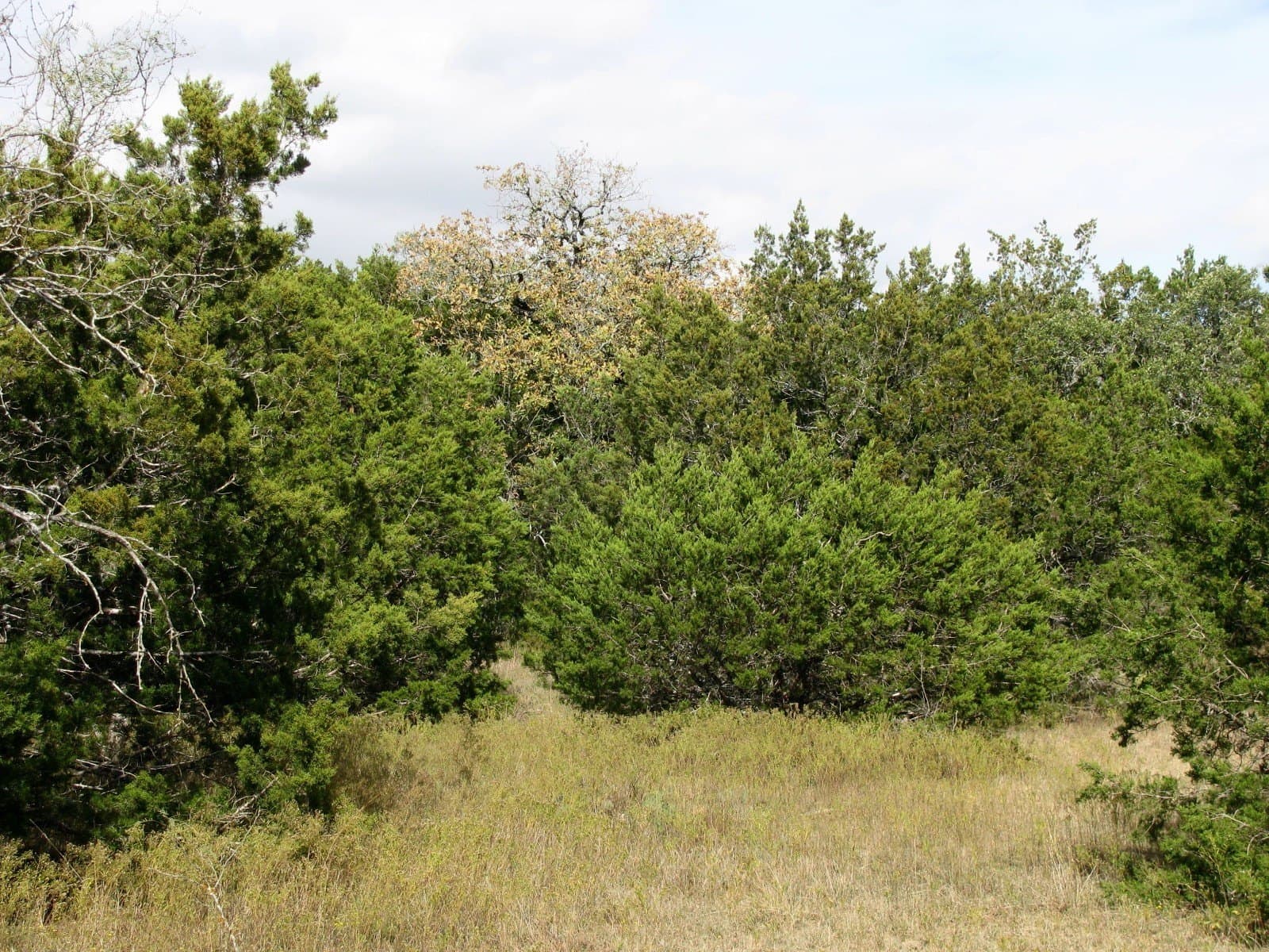 10.01 acres in Hamilton County featured view