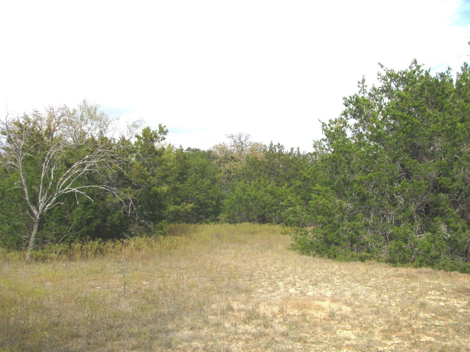 10.01 acres in Hamilton County - photo 21