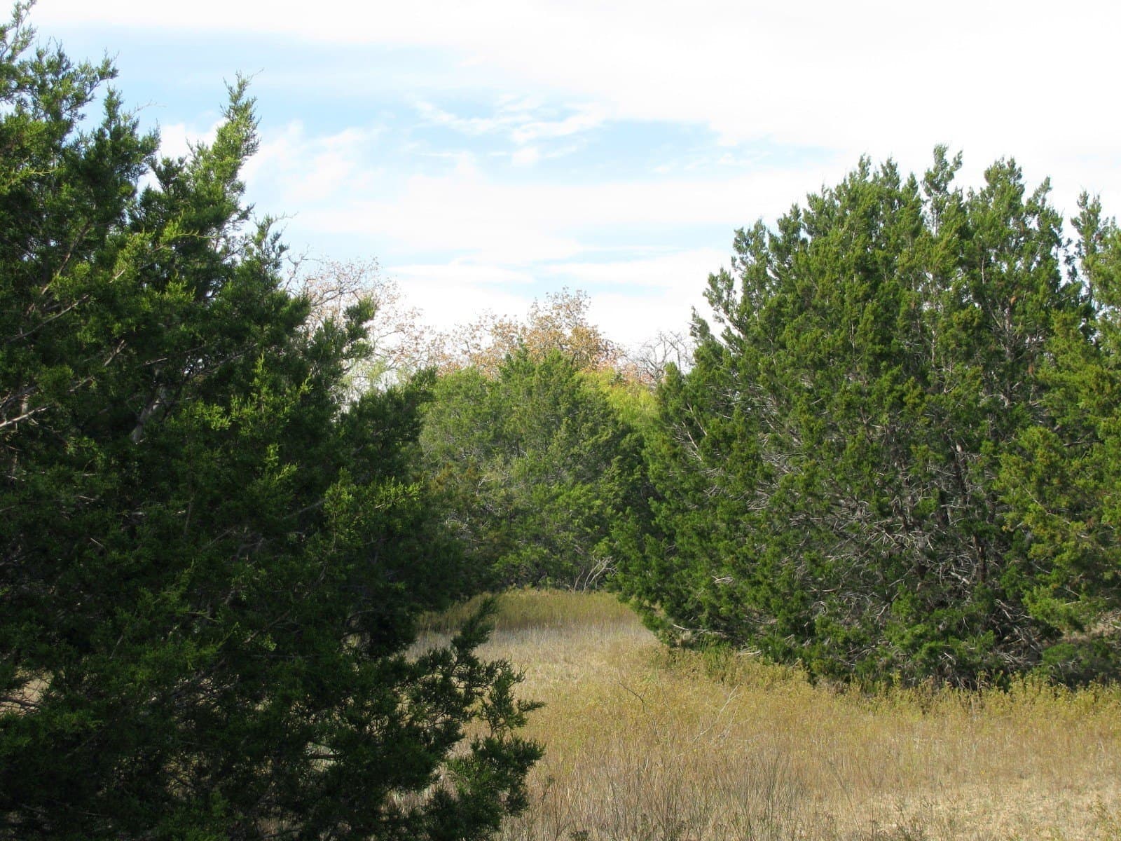 10.01 acres in Hamilton County gallery image 3