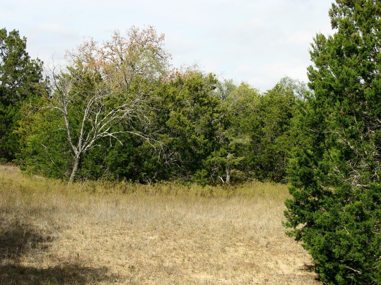 10.01 acres in Hamilton County gallery image 4