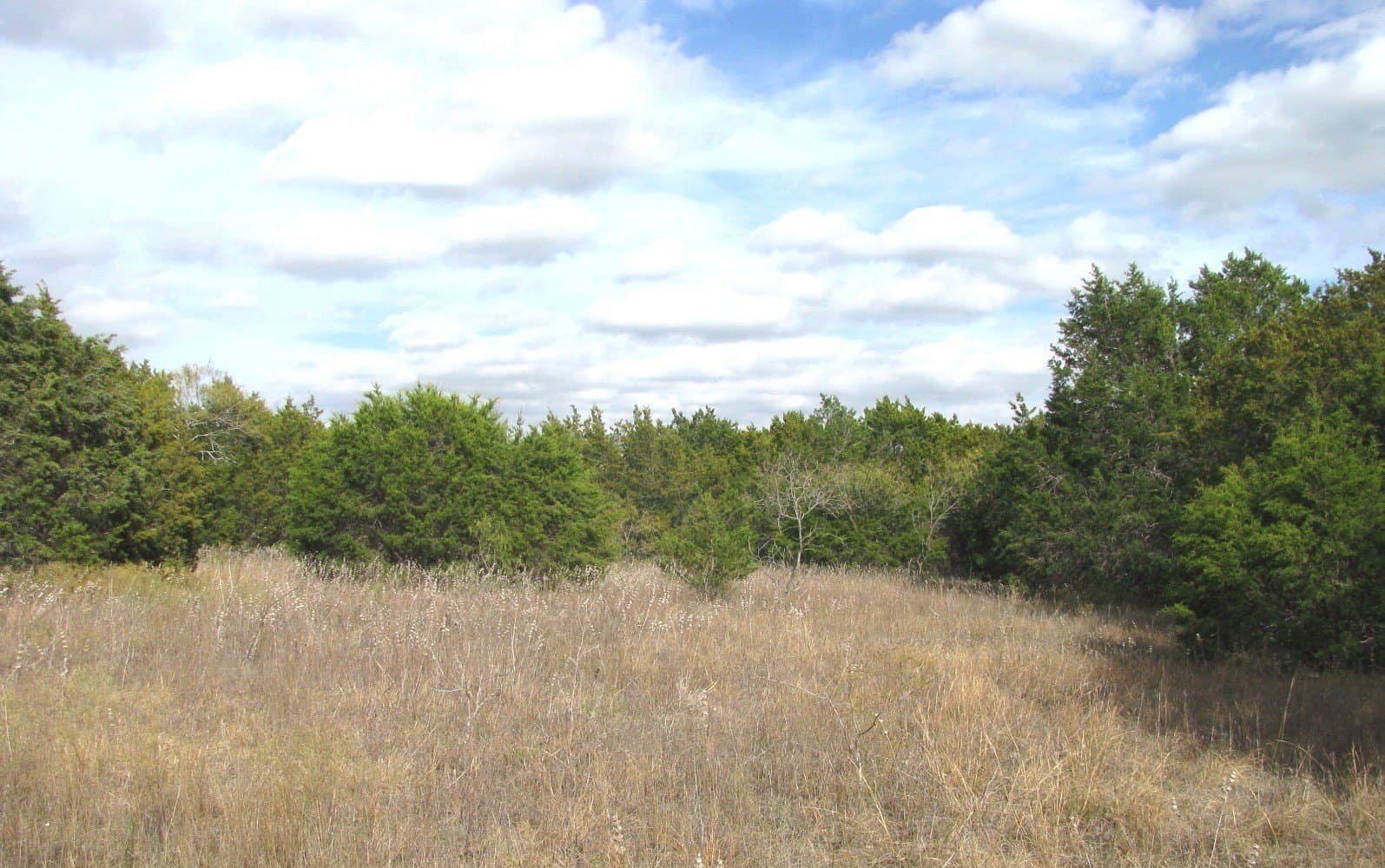 10.01 acres in Hamilton County - photo 8