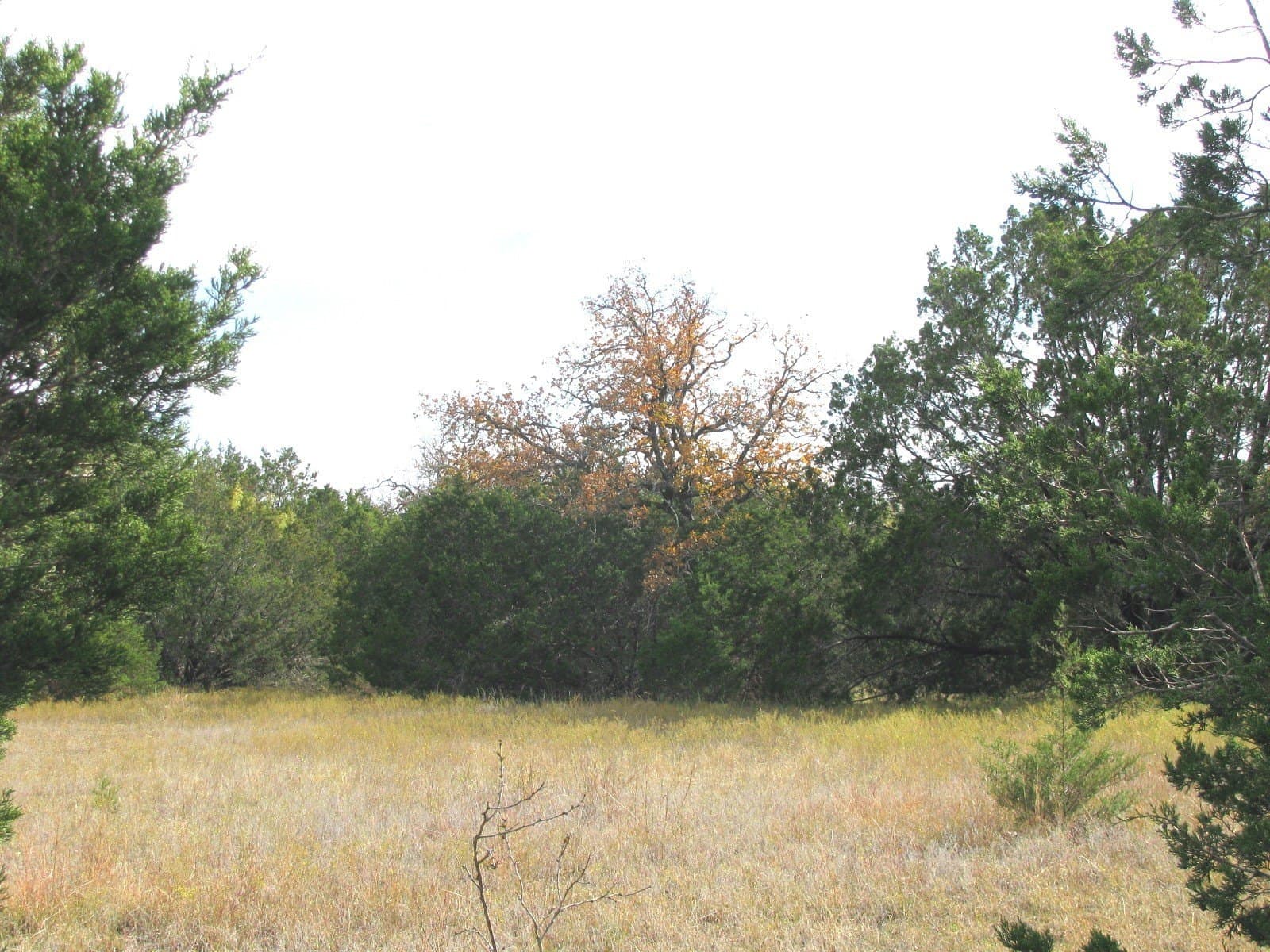 10.01 acres in Hamilton County - photo 17