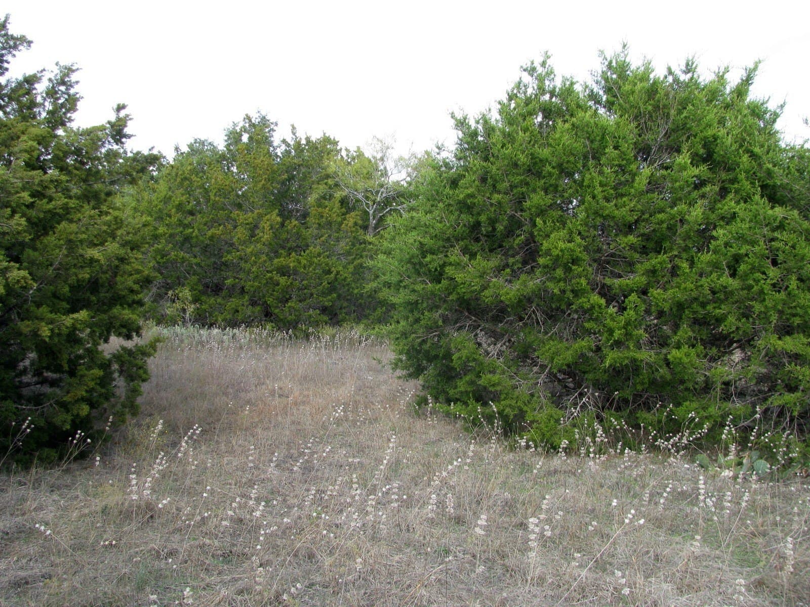 10.01 acres in Hamilton County - photo 10