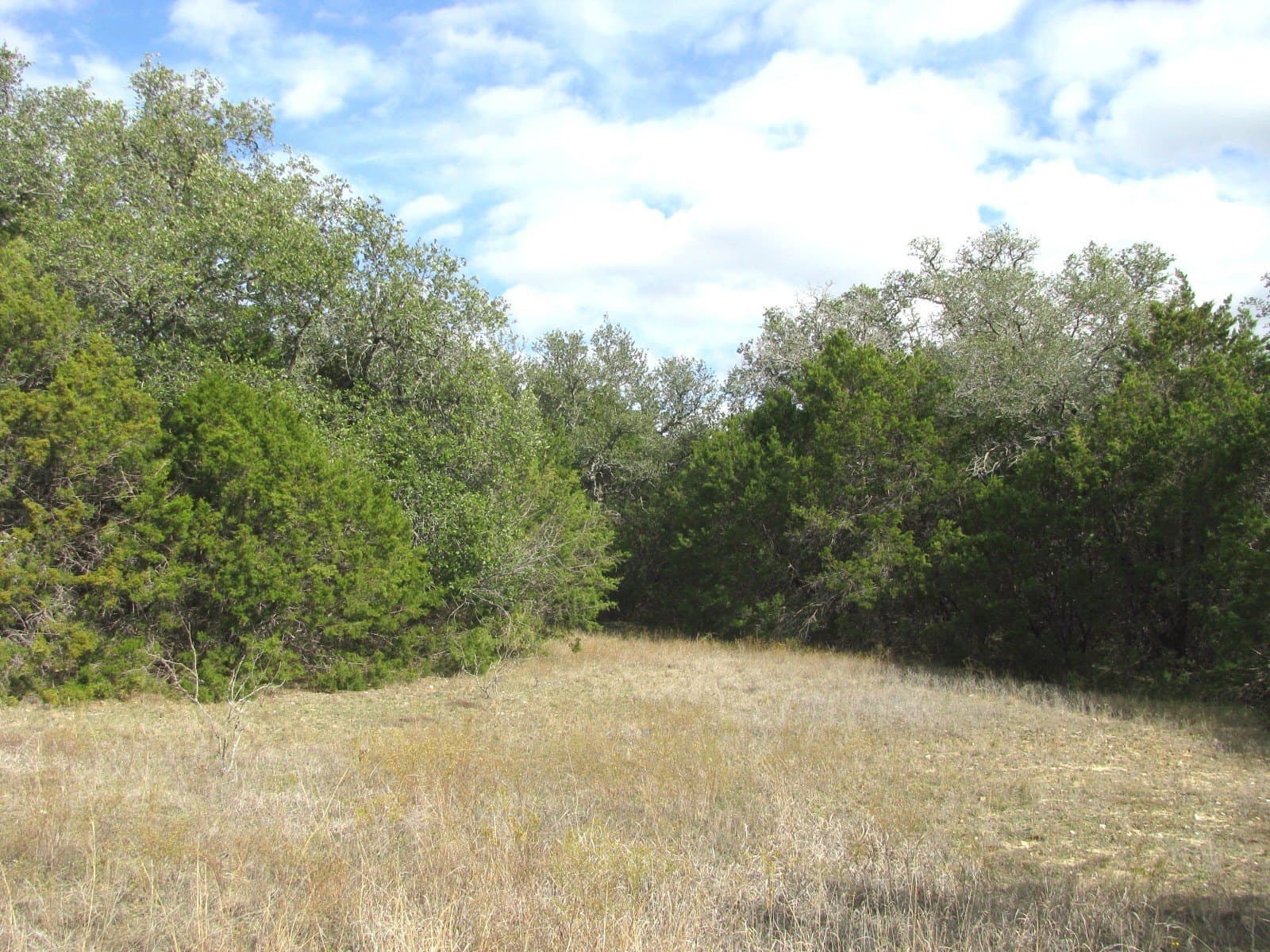 10.01 acres in Hamilton County - photo 16