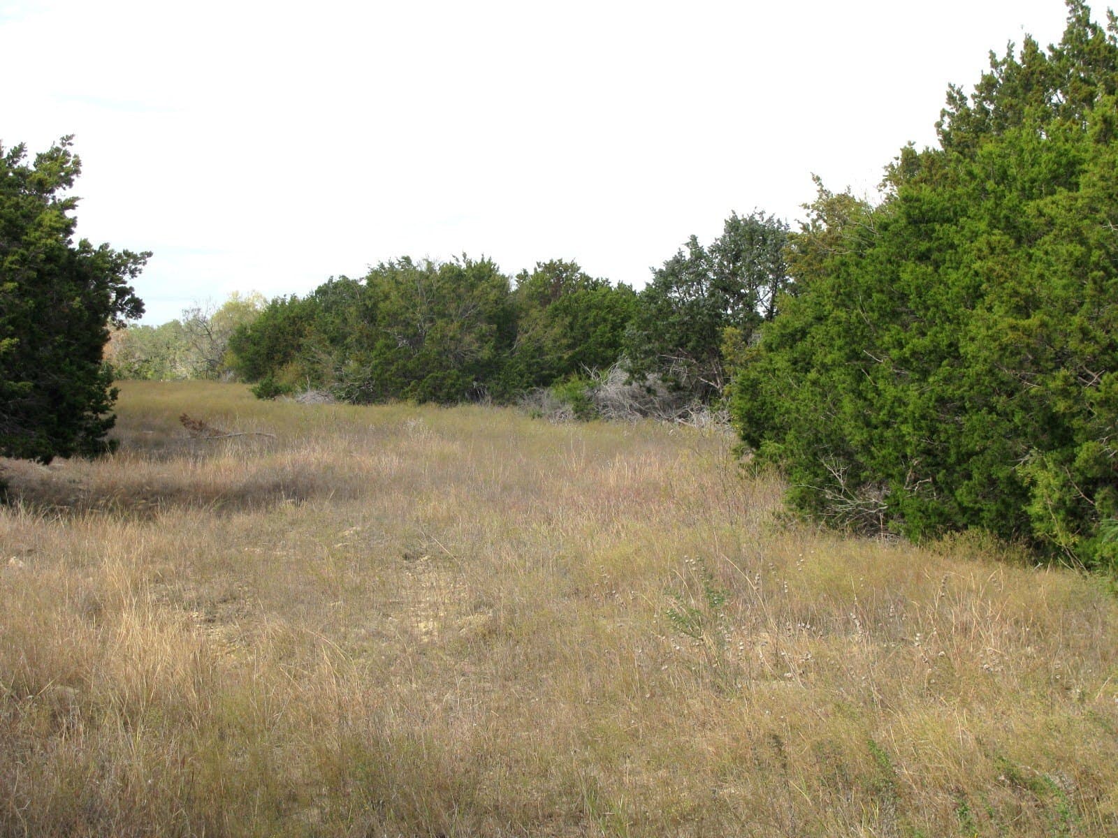 10.01 acres in Hamilton County - photo 7