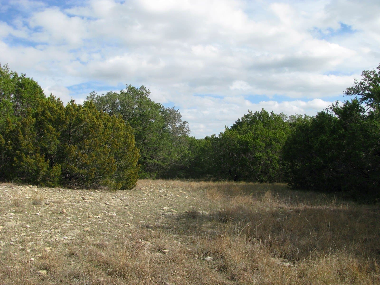 10.01 acres in Hamilton County - photo 12