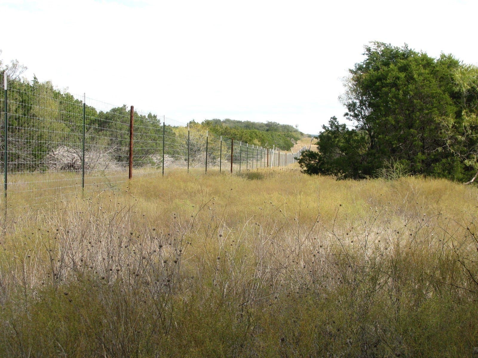 10.01 acres in Hamilton County - photo 9
