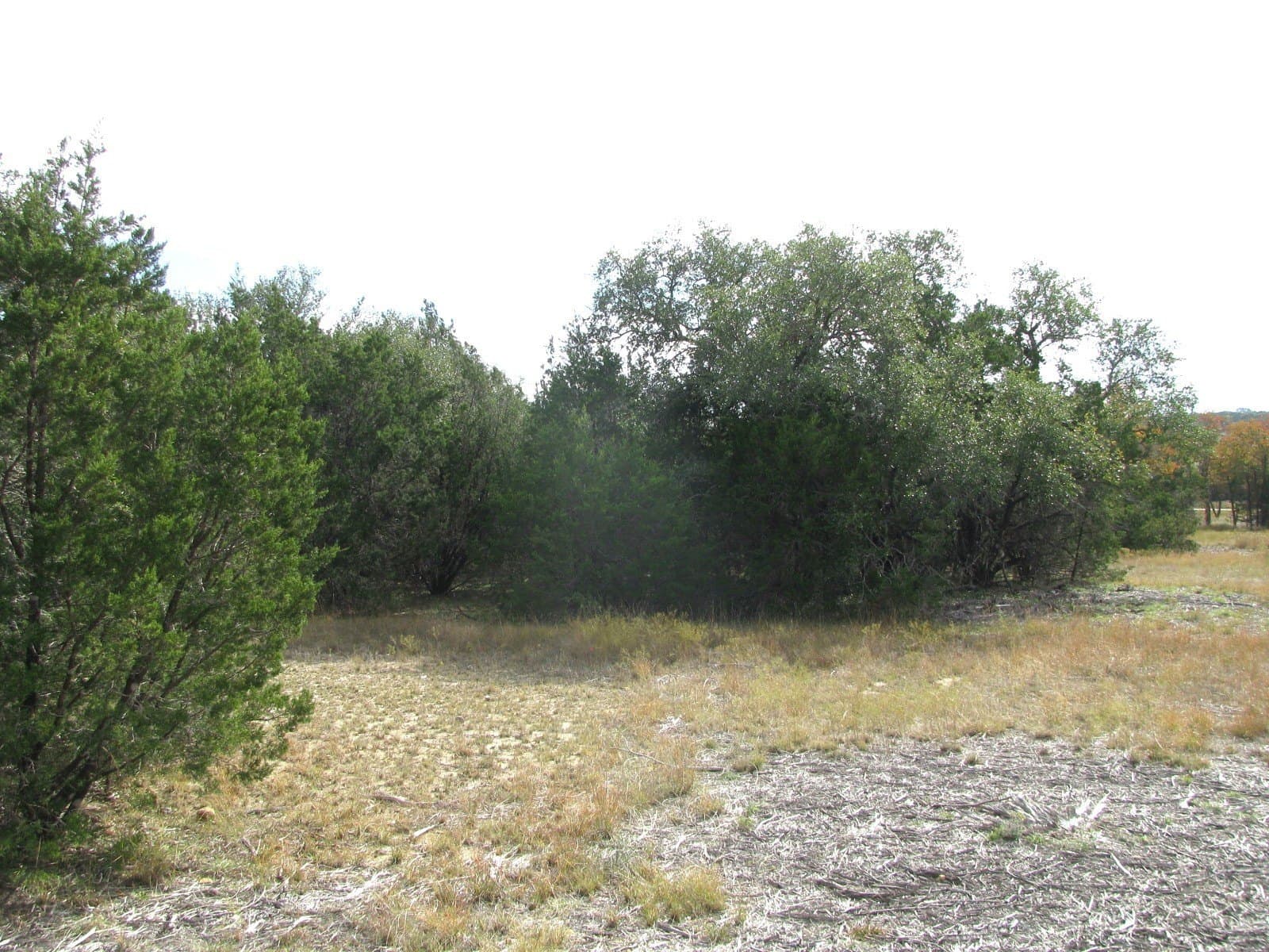 10.01 acres in Hamilton County - photo 13
