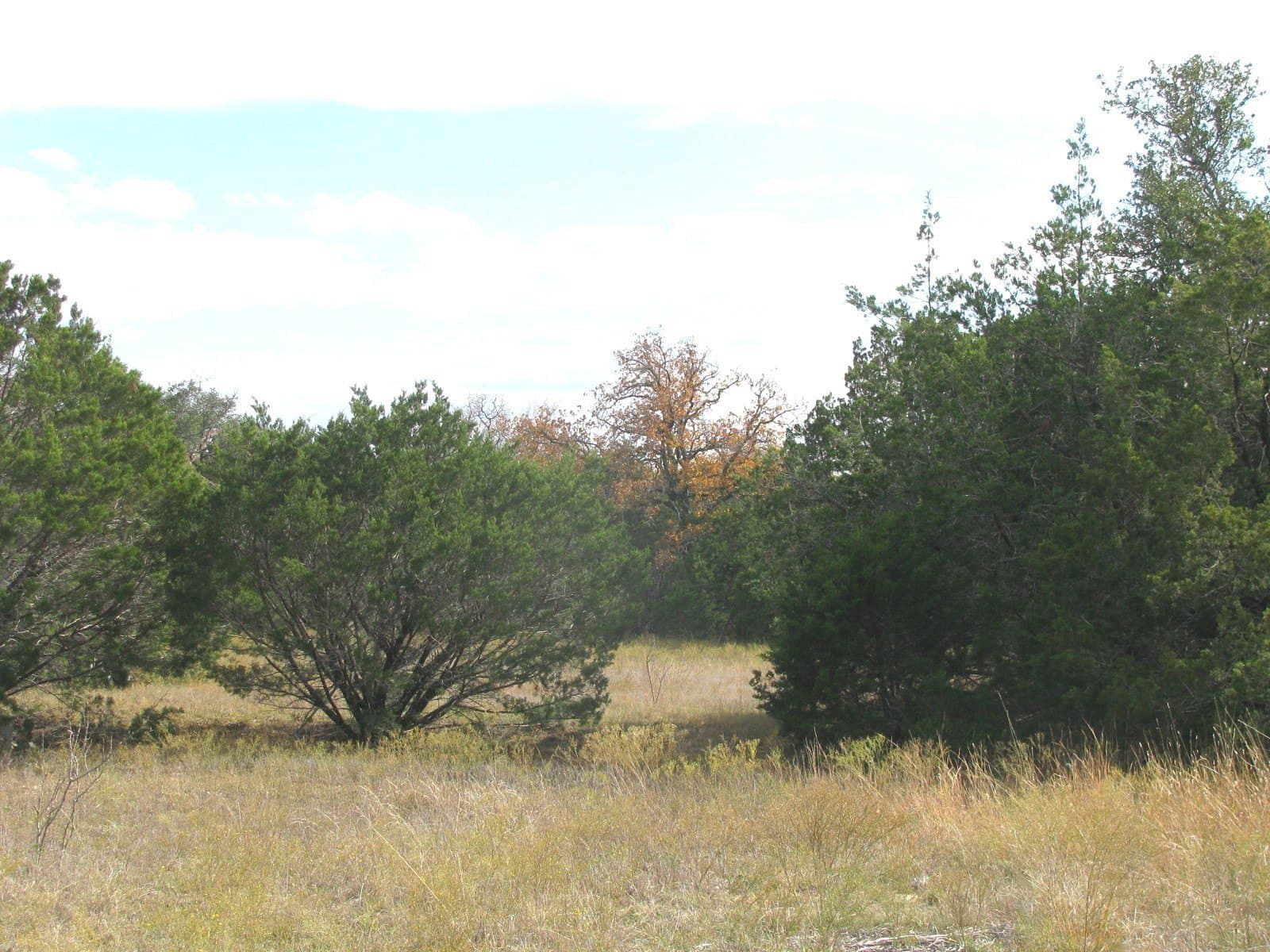 10.01 acres in Hamilton County - photo 15