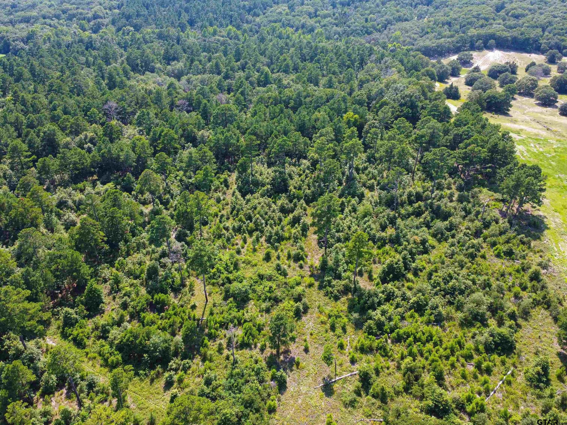 87.8 acres in Van Zandt County gallery image 4