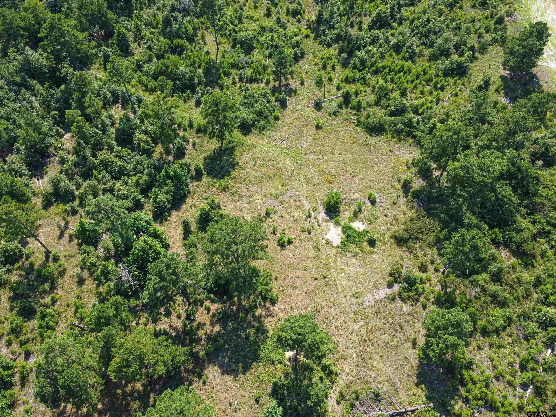 87.8 acres in Van Zandt County featured view