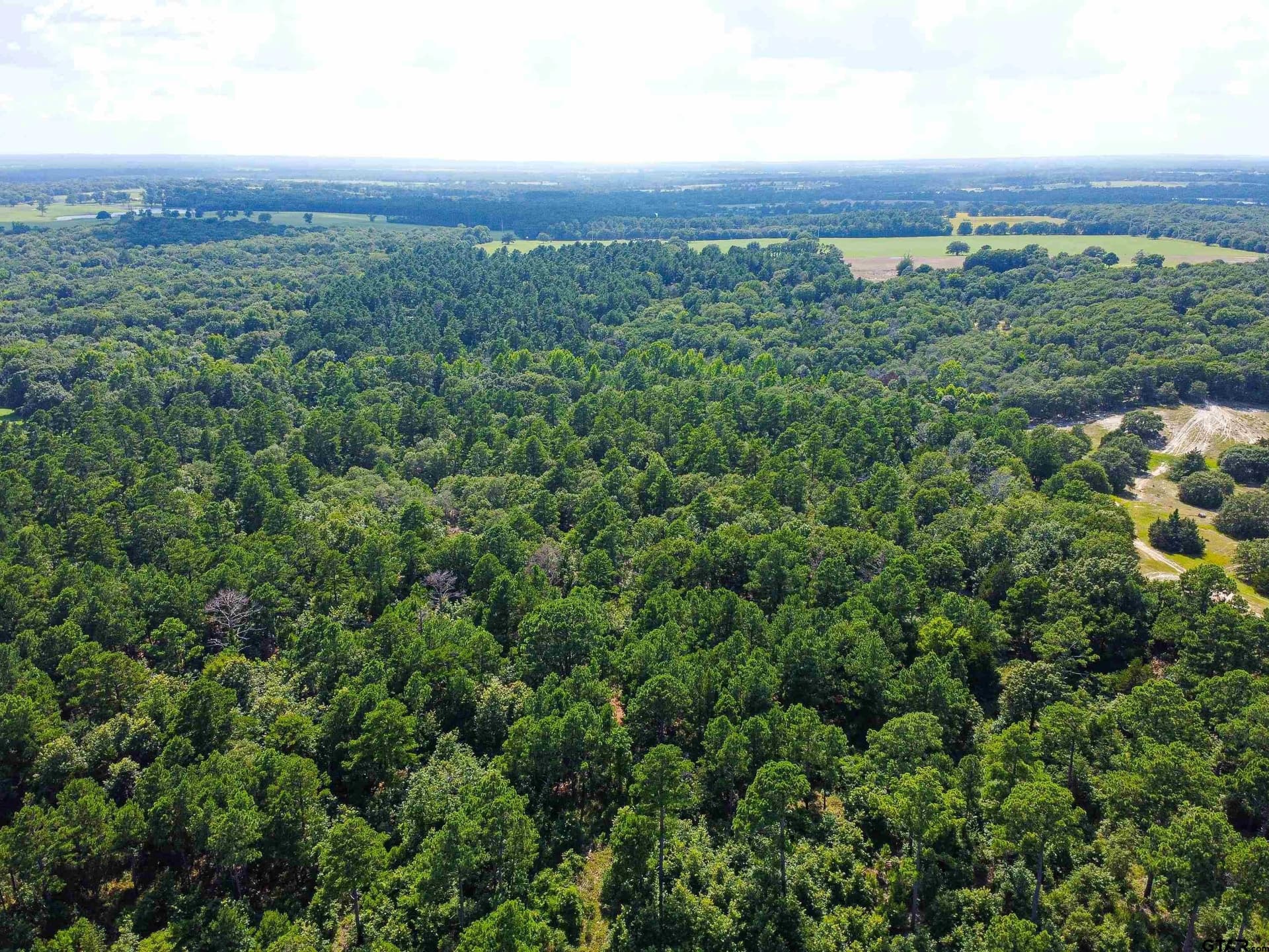 87.8 acres in Van Zandt County gallery image 3