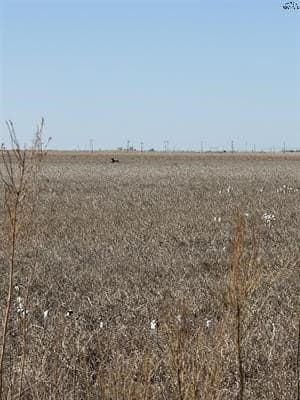 540 acres in Haskell County - photo 5