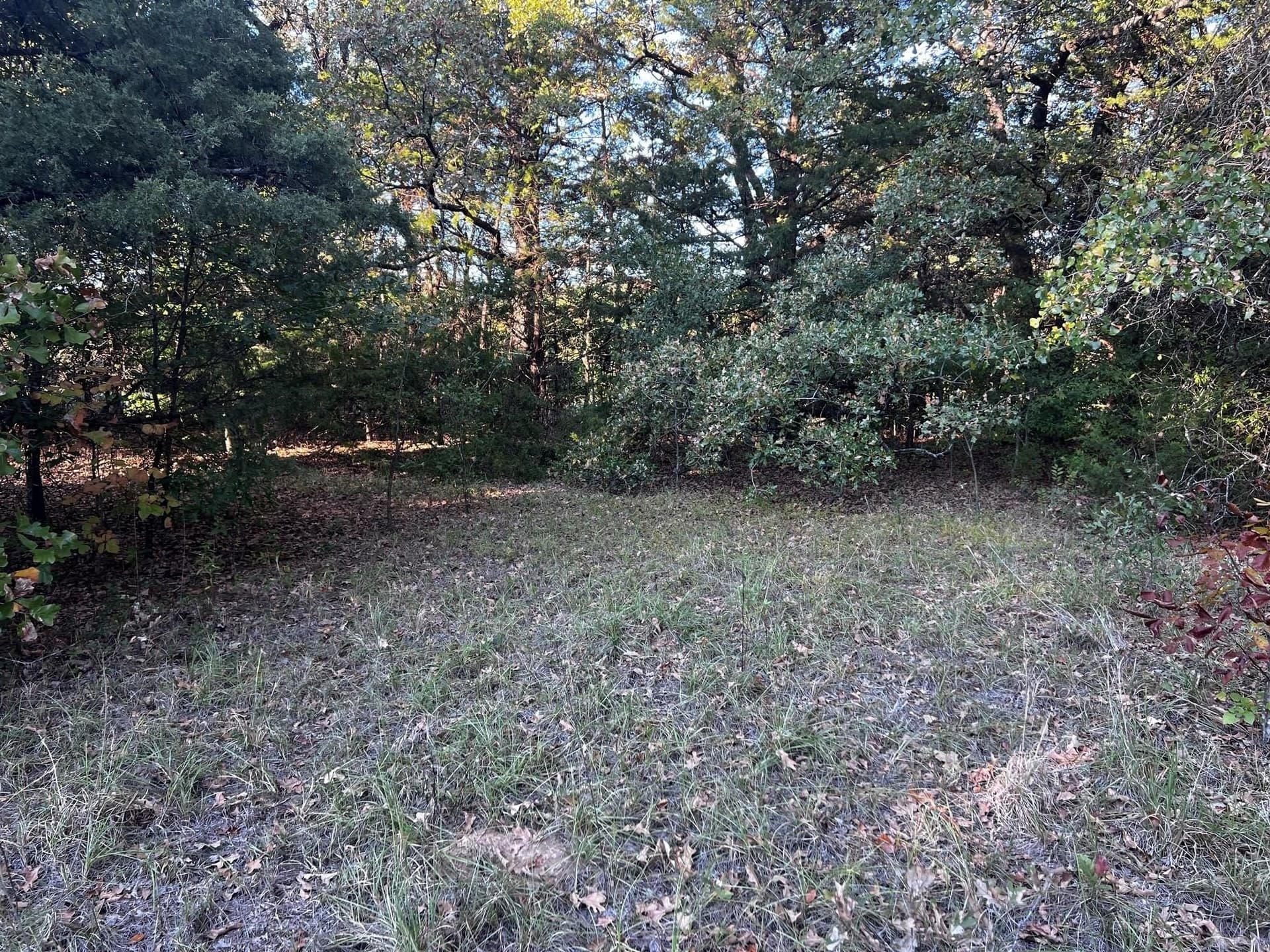77.23 acres in Fannin County - photo 17