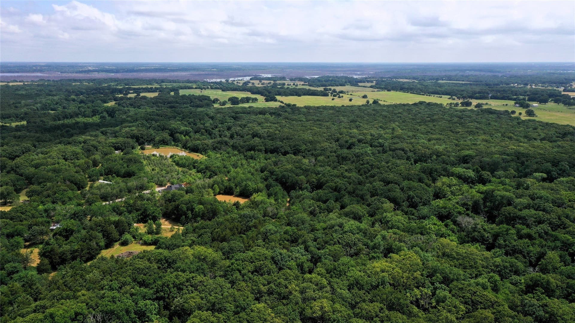 77.23 acres in Fannin County gallery image 2