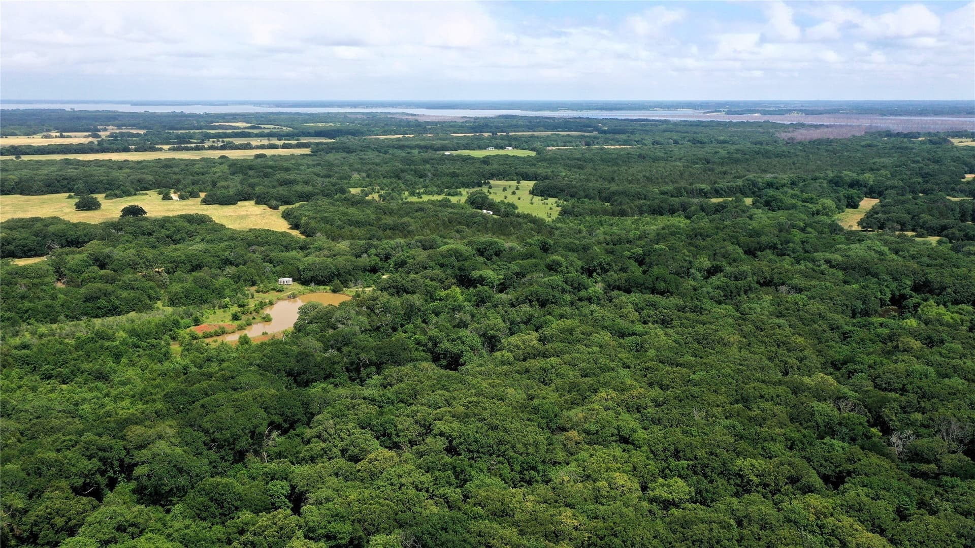 77.23 acres in Fannin County - photo 8