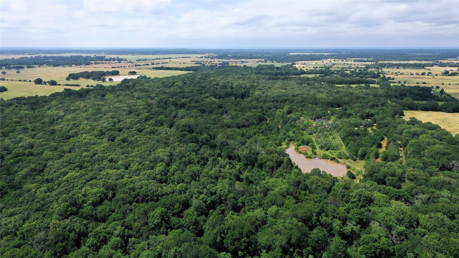 77.23 acres in Fannin County - photo 10