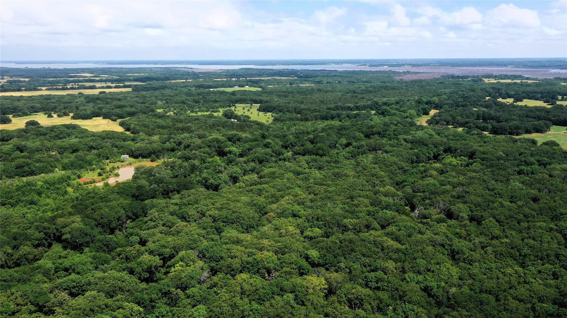 77.23 acres in Fannin County - photo 7