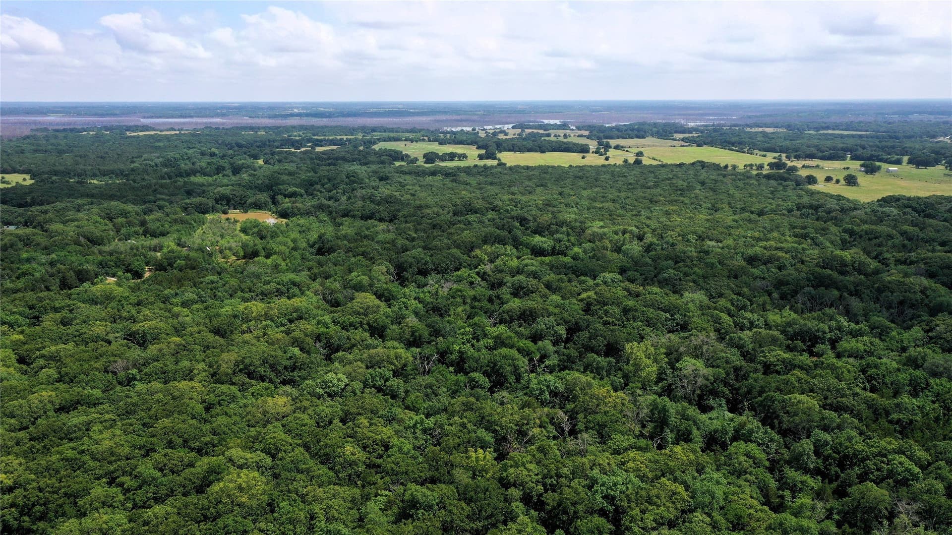 77.23 acres in Fannin County gallery image 3