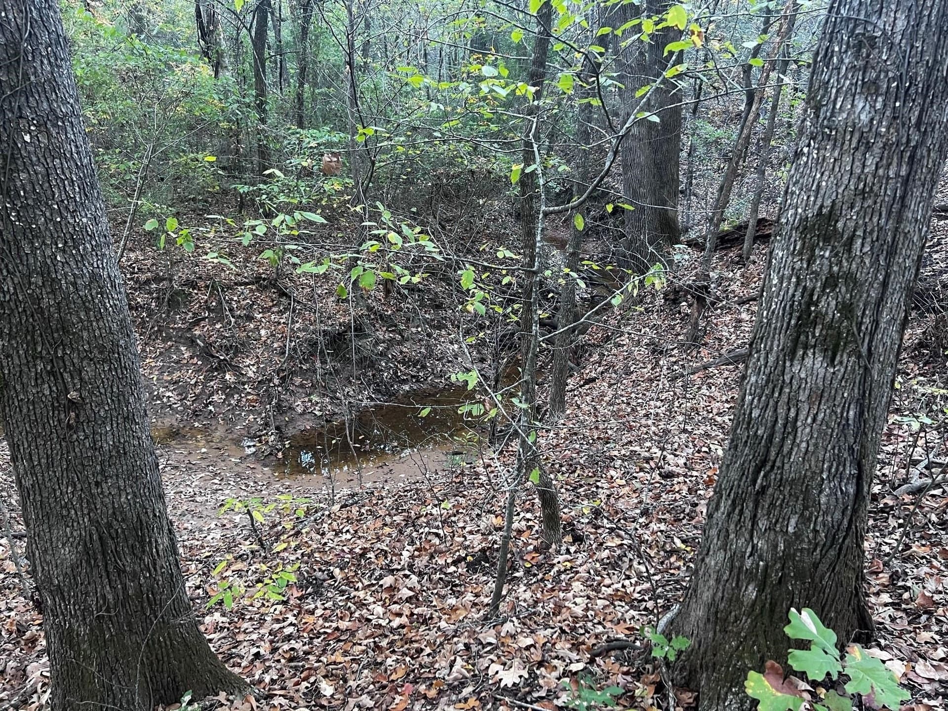 77.23 acres in Fannin County - photo 20